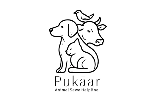 Pukaar: Animal Rescue & Care Helpline