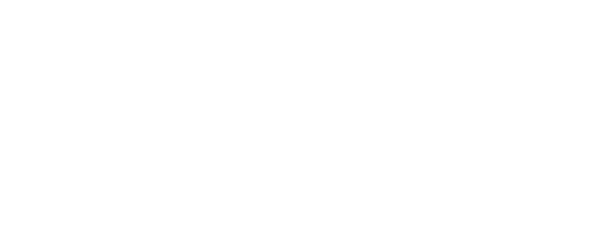 Team computers logo white